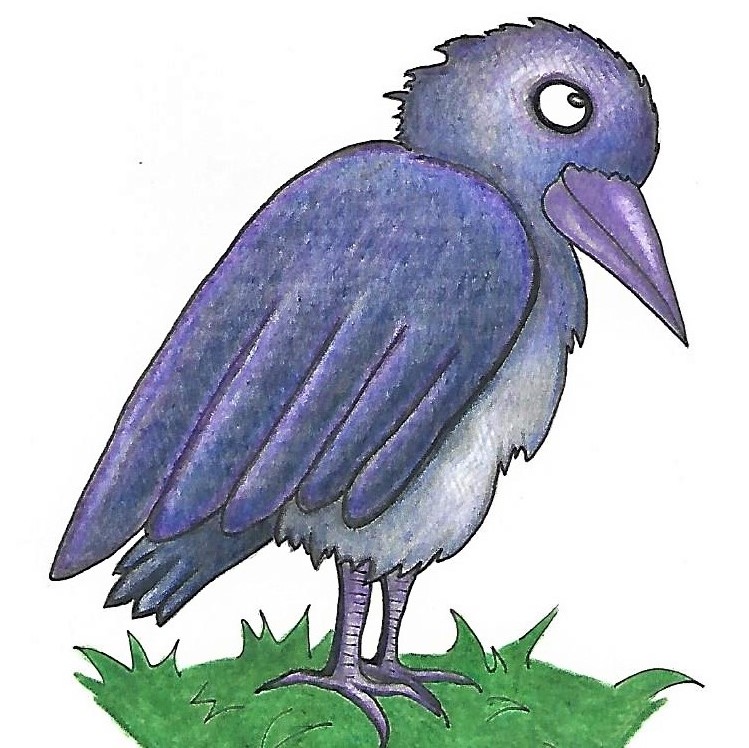 Card image cap